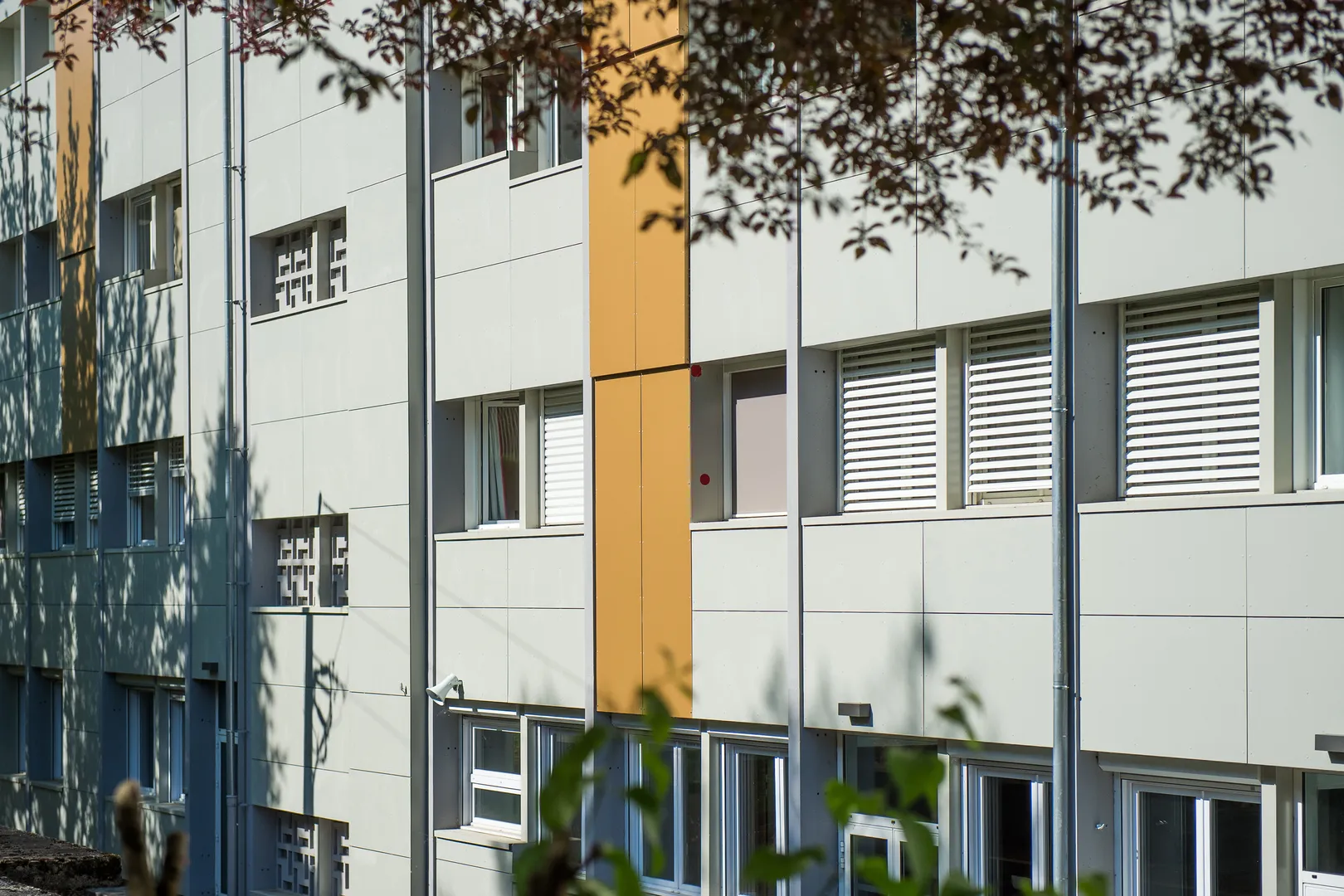 Lycée des Métiers du Bois et de l&rsquo;Habitat - Aubin (12) - Région Occitanie - vue 5